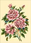 1368 25-35 Rózsák - rózsaszín